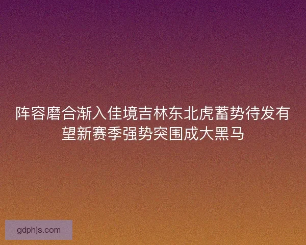 阵容磨合渐入佳境吉林东北虎蓄势待发有望新赛季强势突围成大黑马