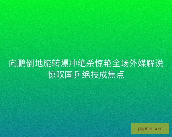 向鹏倒地旋转爆冲绝杀惊艳全场外媒解说惊叹国乒绝技成焦点