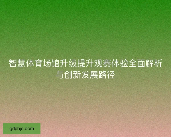 智慧体育场馆升级提升观赛体验全面解析与创新发展路径