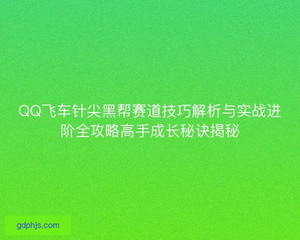 QQ飞车针尖黑帮赛道技巧解析与实战进阶全攻略高手成长秘诀揭秘